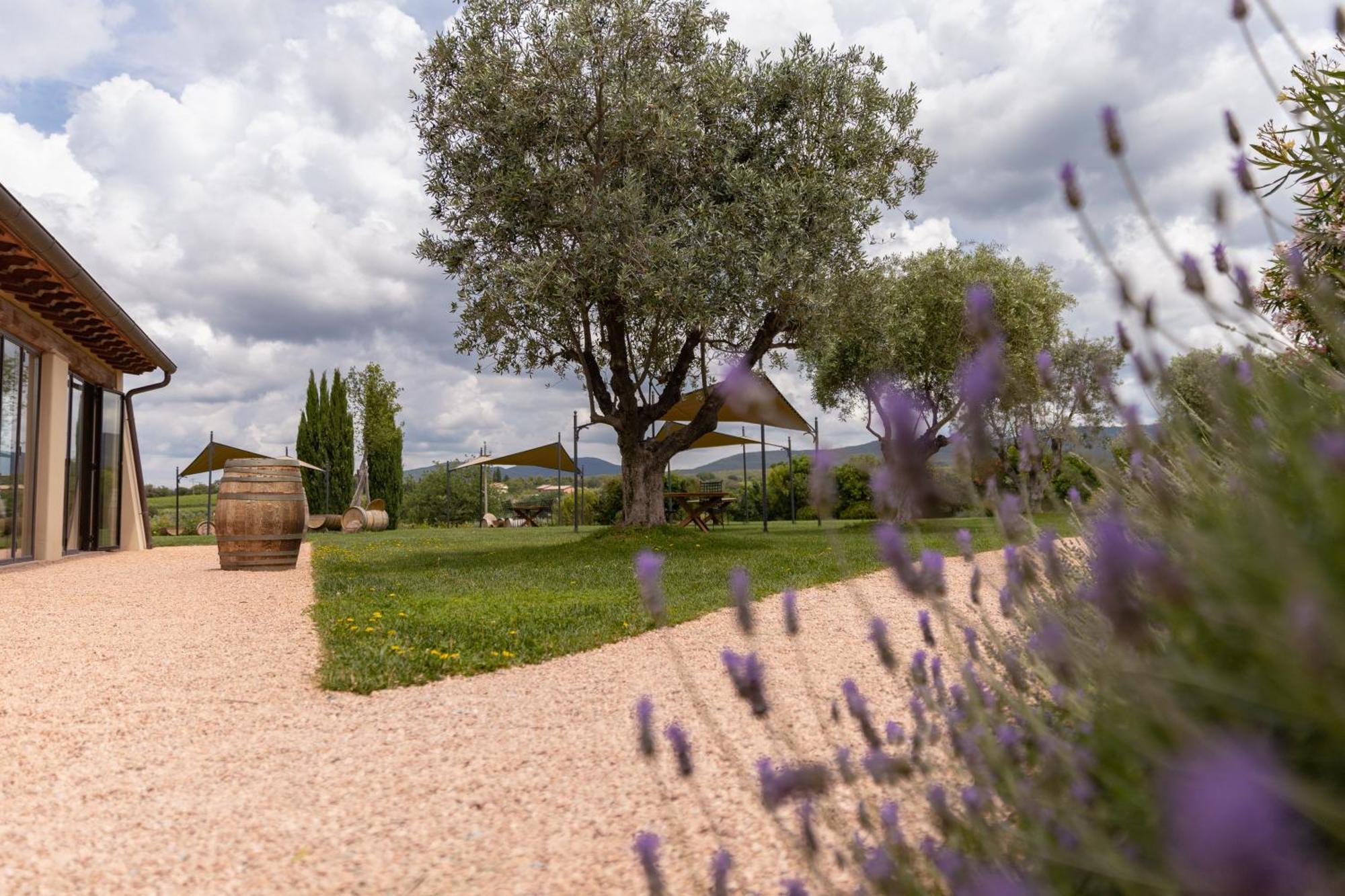 Locanda Dell'Aioncino Bibbona Extérieur photo
